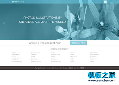 Images图片摄影相册门户网站模板
