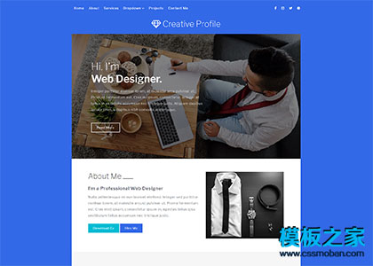 Profile设计师作品集resume模板
