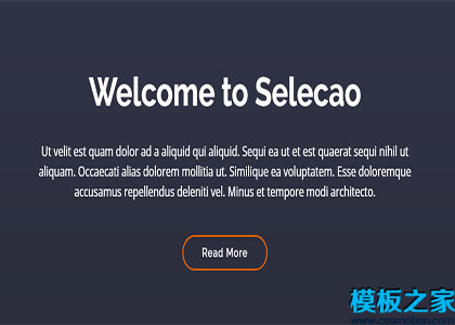 Selecao框架创建便捷响应式网站模板