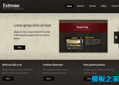 extreme深棕色多种排列多页商务标准页面网站模板