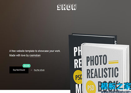 show引导便携式在线销售电子书单页网站模板