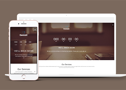 tweet棕色ui最佳页面设计多用途web网站模板