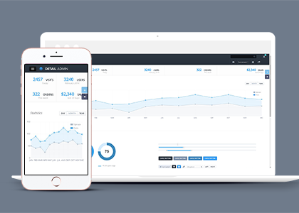 DetailAdmin横版简约响应式后台管理后台模板