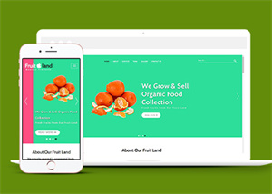 多彩简约新鲜水果网站销售模板下载