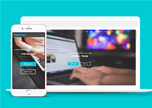 数字团队服务展示企业网页模板下载