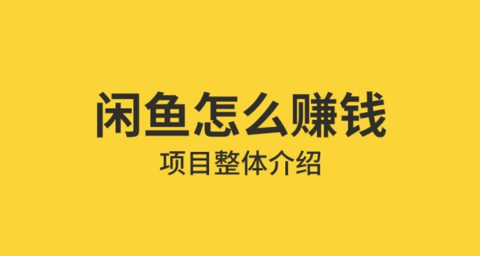 闲鱼无货源电商课程培训课程网盘下载